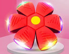 The Doggy Disc Ball💞,Best Gifts(Suitable for small dogs)