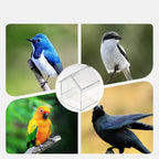 Pull-Out External Parrot Feeder