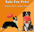 The Doggy Disc Ball💞,Best Gifts(Suitable for small dogs)